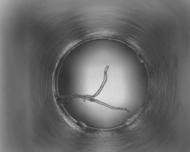 X0000059811034200511041648