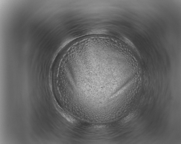 X0000059811035200511041648