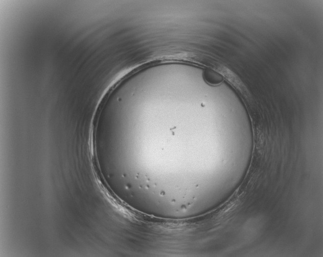 X0000059811036200511041648