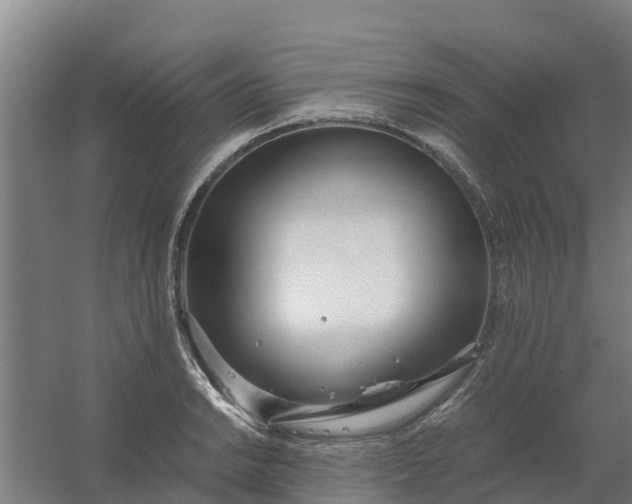 X0000059811038200511041648