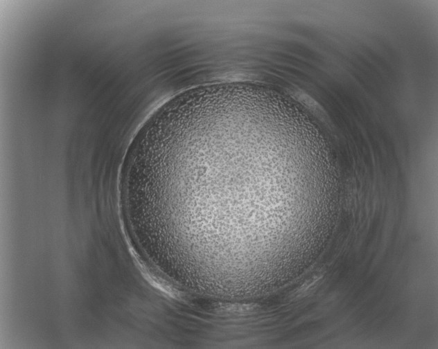 X0000059811039200511041648