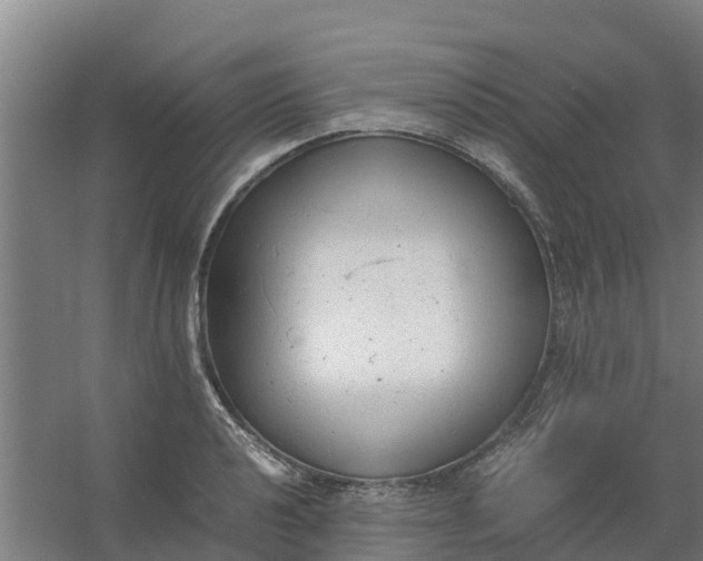 X0000059811040200511041648