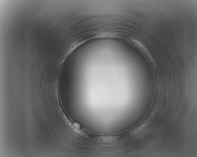 X0000059811041200511041648