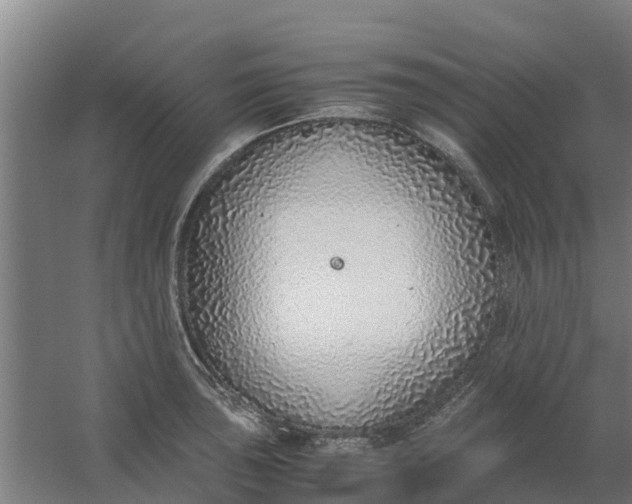 X0000059811043200511041648