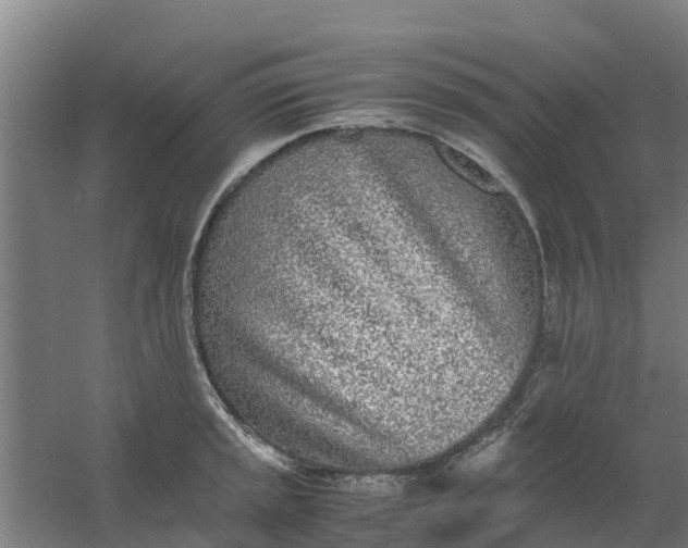 X0000059811045200511041648