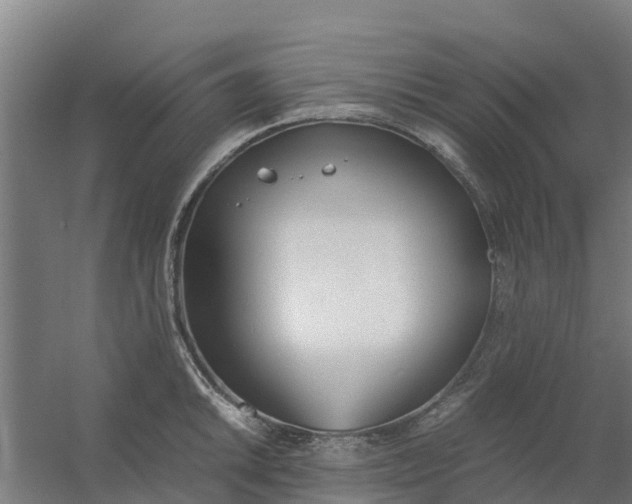 X0000059811046200511041648