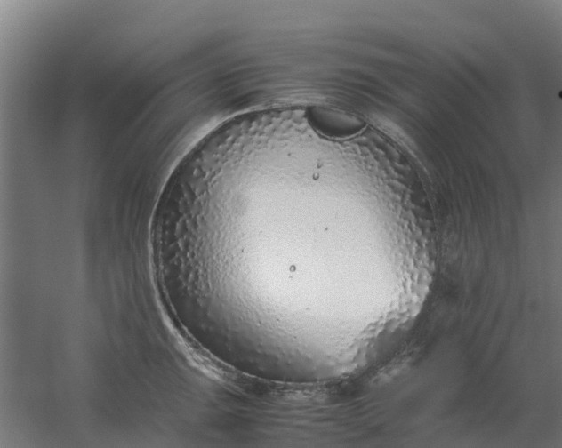 X0000059811047200511041648