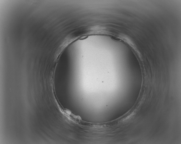 X0000059811049200511041648