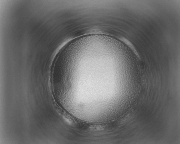 X0000059811051200511041648