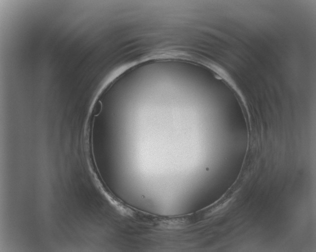 X0000059811053200511041648