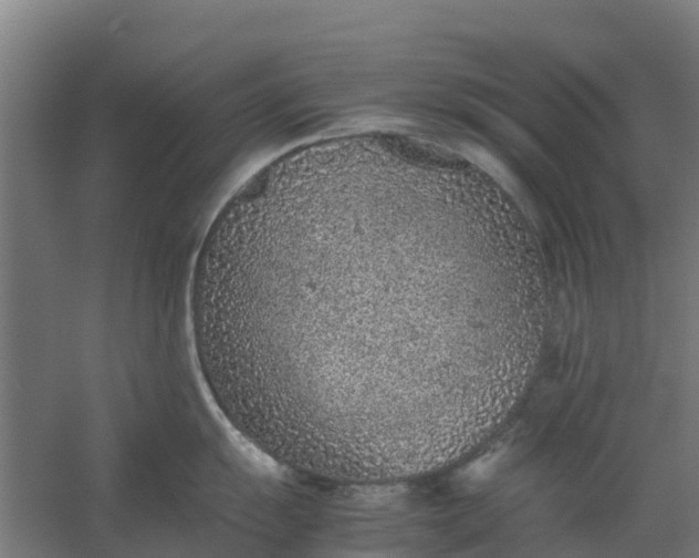 X0000059811055200511041648