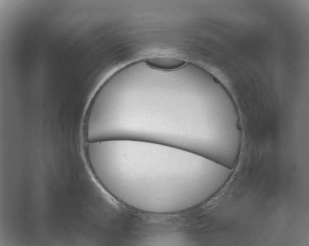 X0000059811056200511041648