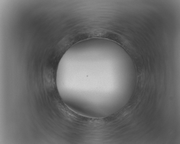 X0000059811058200511041648