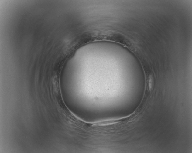 X0000059811059200511041648