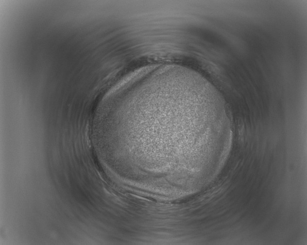 X0000059811060200511041648