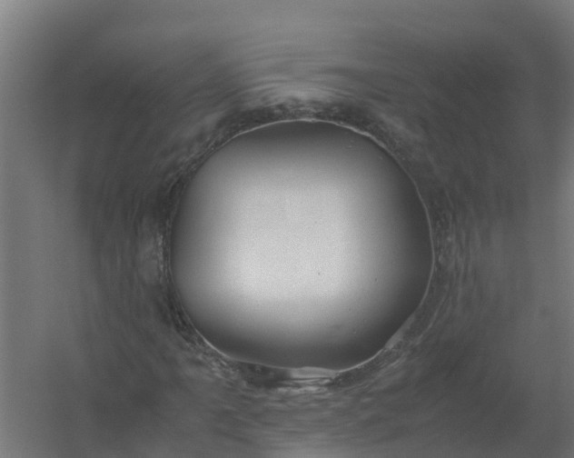 X0000059811061200511041648