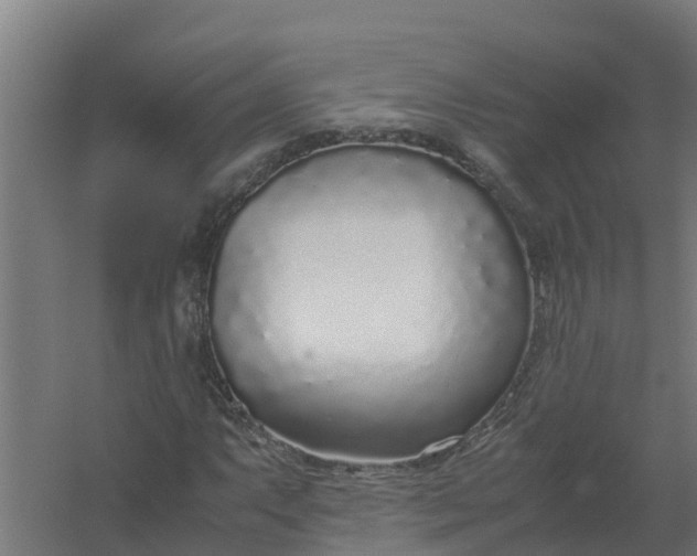 X0000059811063200511041647