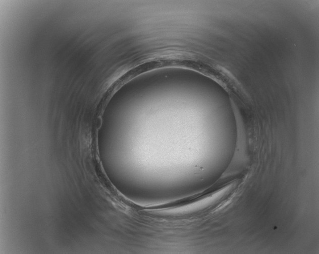 X0000059811065200511041647