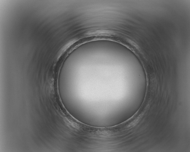 X0000059811066200511041647