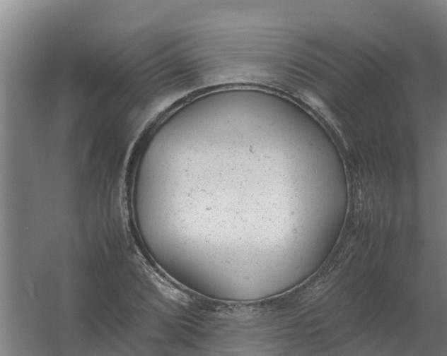 X0000059811072200511041647