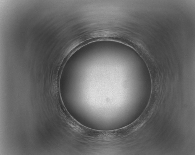 X0000059811073200511041647