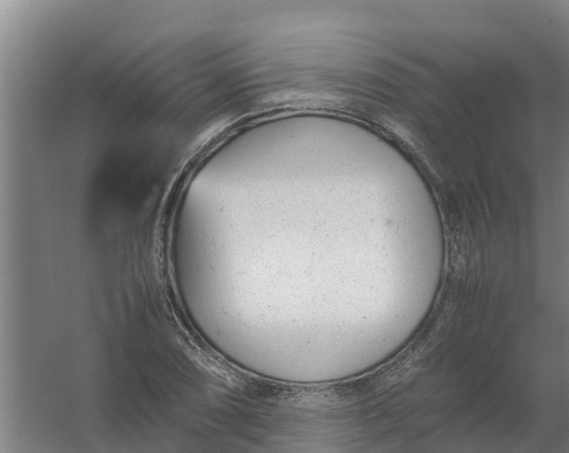 X0000059811074200511041647