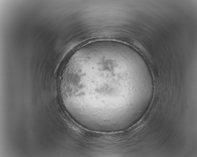 X0000059811075200511041647