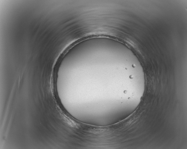 X0000059811076200511041647