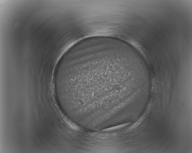 X0000059811077200511041647