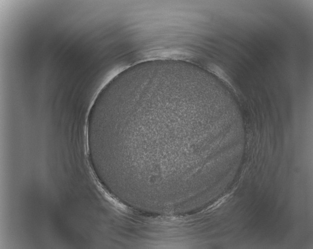 X0000059811079200511041647