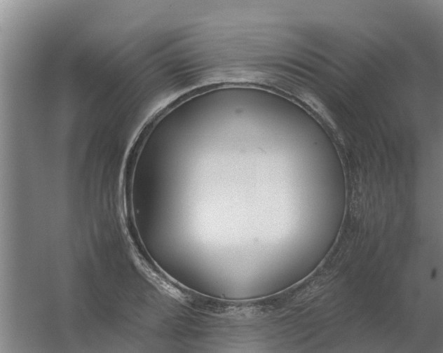 X0000059811080200511041647