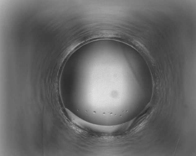 X0000059811081200511041647