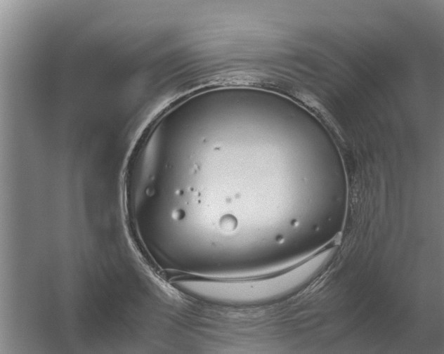 X0000059811083200511041647