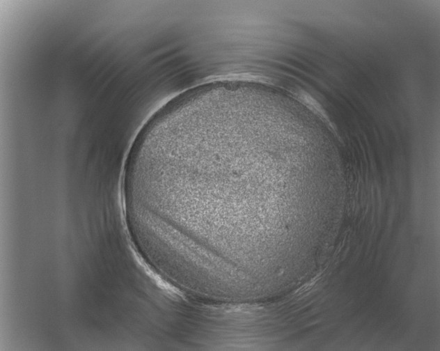 X0000059811084200511041647