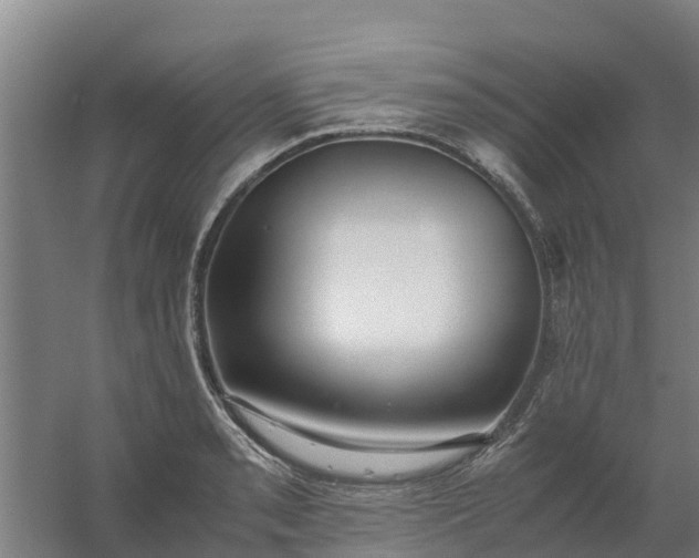 X0000059811085200511041647