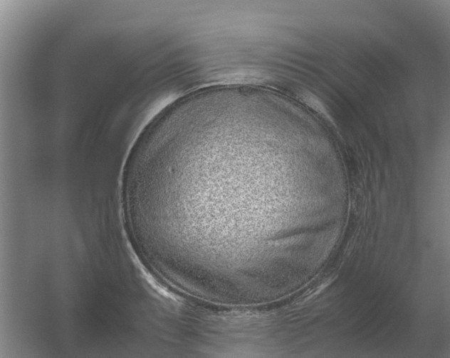 X0000059811087200511041647