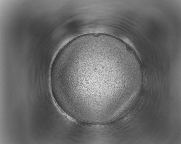 X0000059811088200511041647