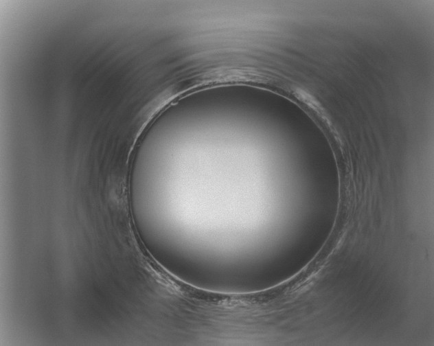 X0000059811089200511041647