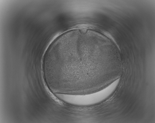 X0000059811091200511041647