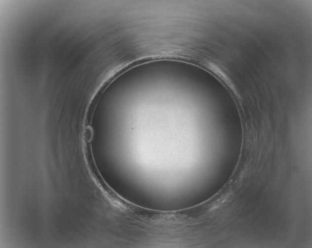 X0000059811093200511041647