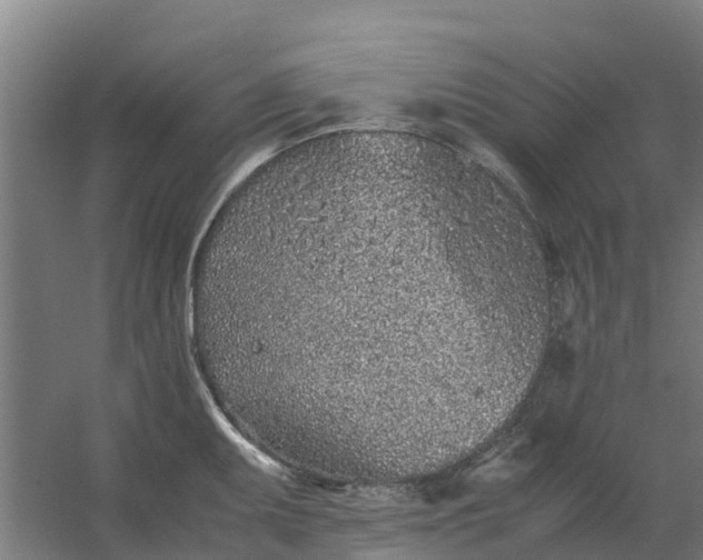 X0000059811095200511041647