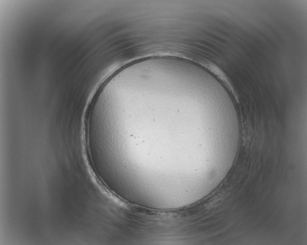 X0000059811096200511041647