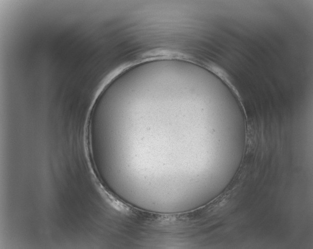 X0000059811098200511041647