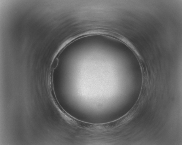 X0000059811101200511041647