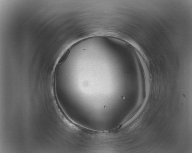 X0000059811102200511041647