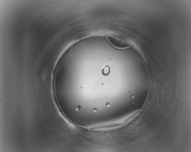 X0000059811103200511041647