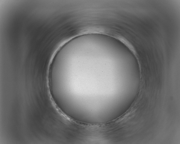 X0000059811104200511041647