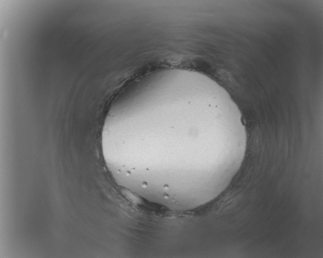 X0000059811105200511041646