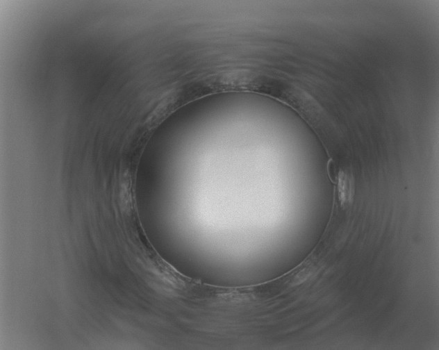 X0000059811107200511041646