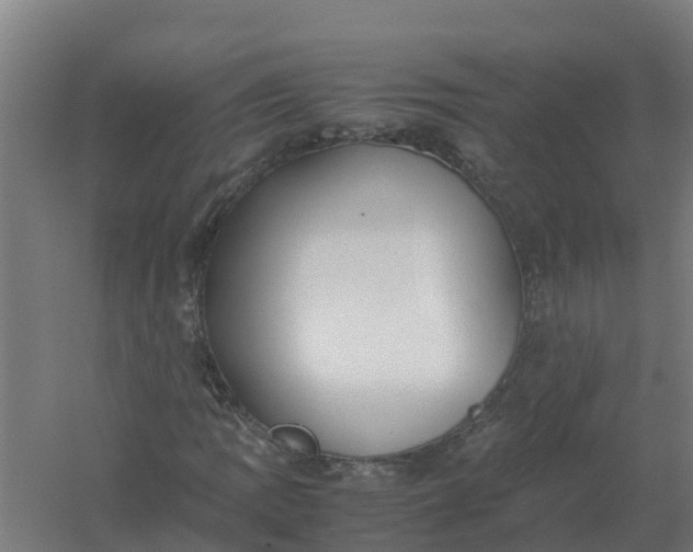 X0000059811109200511041646